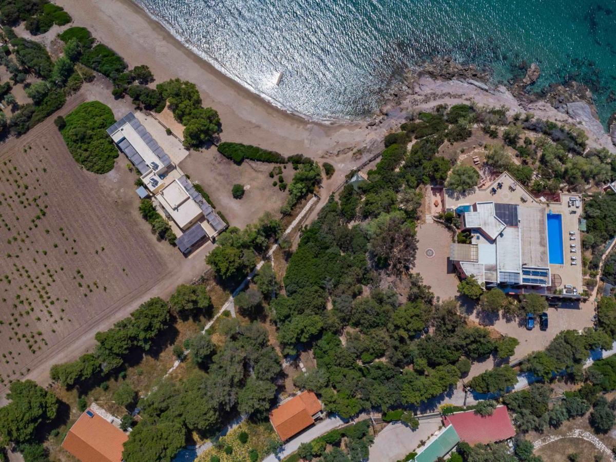 Black Diamond Beachfront Pool Villa Pasithea In Sounio, Athens Σούνιο Εξωτερικό φωτογραφία
