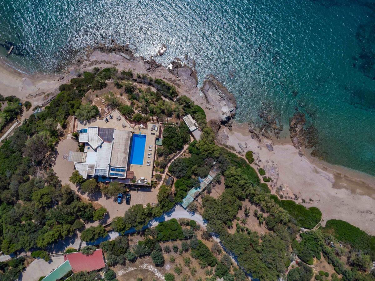 Black Diamond Beachfront Pool Villa Pasithea In Sounio, Athens Σούνιο Εξωτερικό φωτογραφία