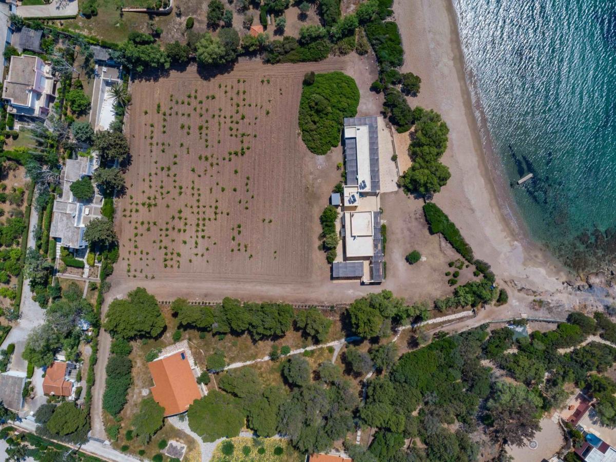 Black Diamond Beachfront Pool Villa Pasithea In Sounio, Athens Σούνιο Εξωτερικό φωτογραφία