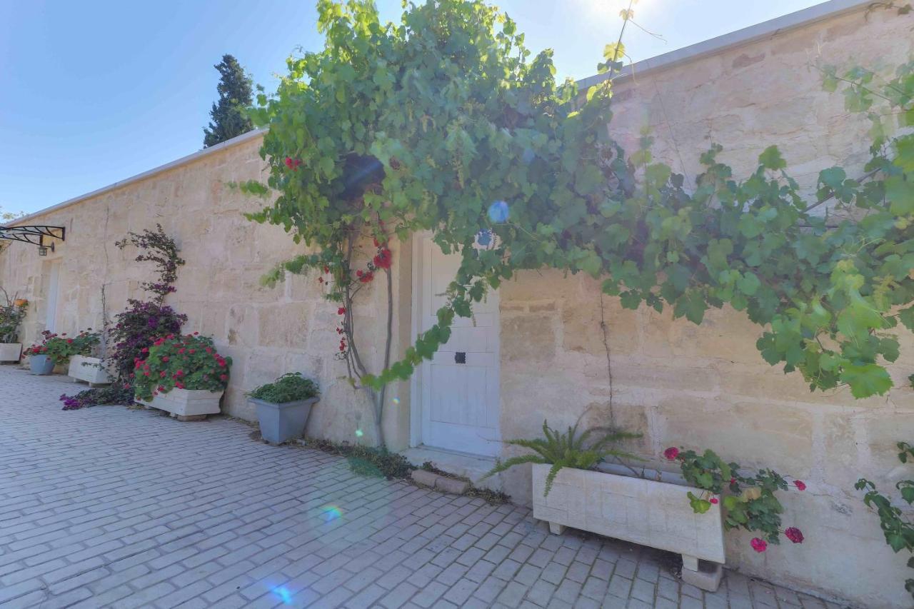 Black Diamond Beachfront Pool Villa Pasithea In Sounio, Athens Σούνιο Εξωτερικό φωτογραφία