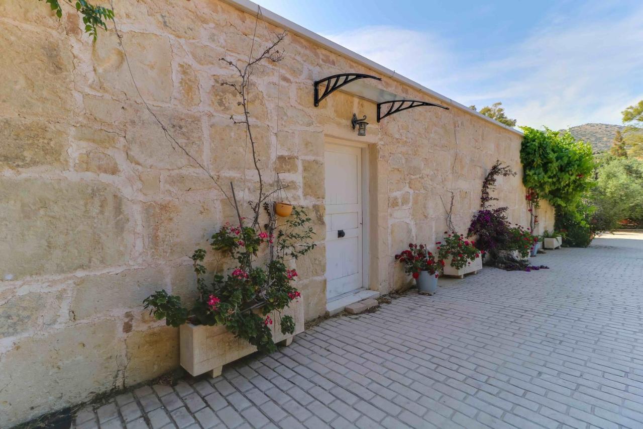 Black Diamond Beachfront Pool Villa Pasithea In Sounio, Athens Σούνιο Εξωτερικό φωτογραφία